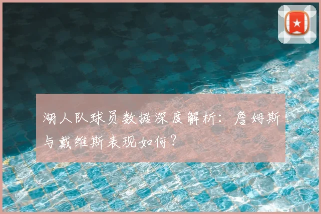 湖人队球员数据深度解析:詹姆斯与戴维斯表现如何?
